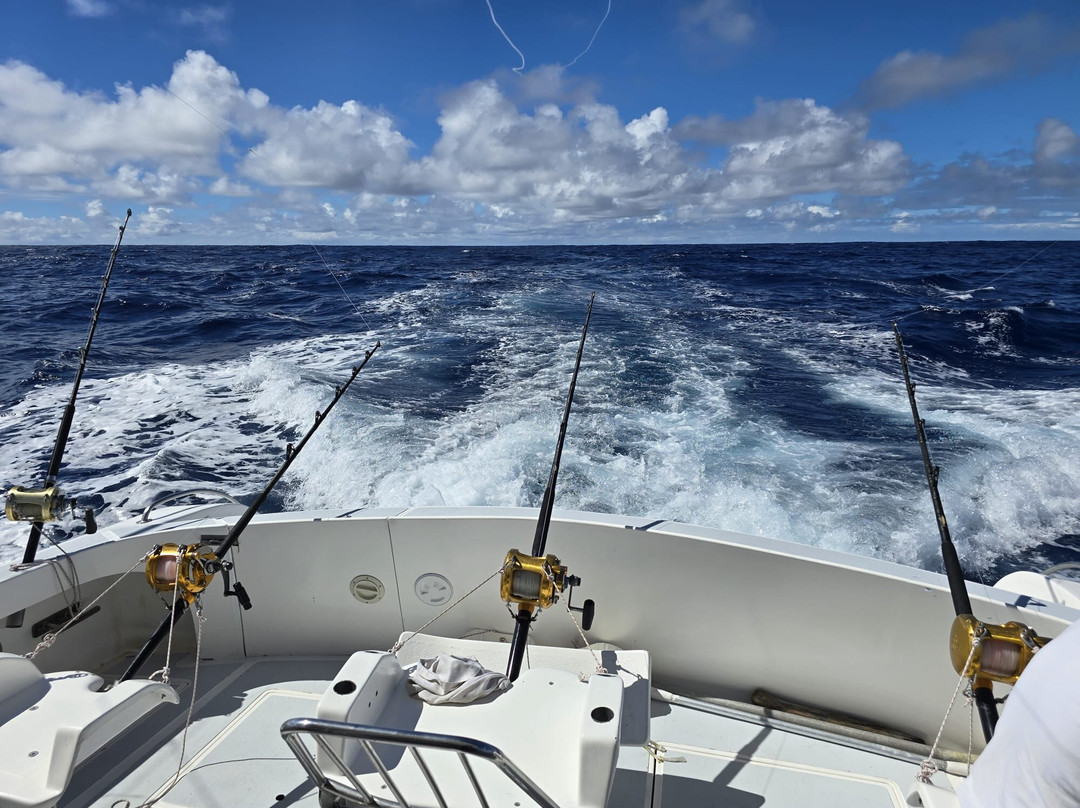 Royal Big Game Fishing Mauritius-卓得多斯必去景点