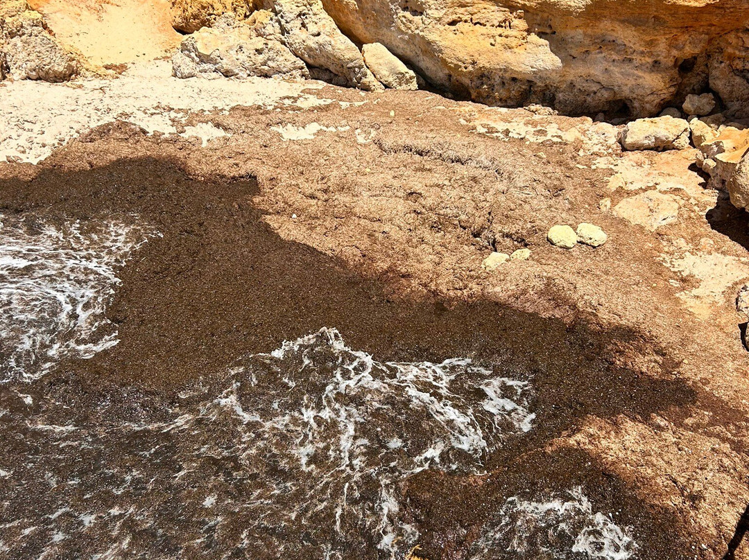 Praia do Paraiso-卡沃埃罗必去景点