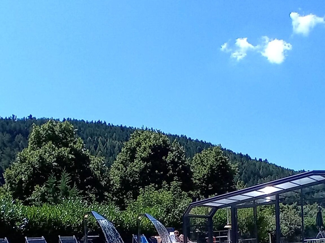 Hotel Benessere Villa Fiorita主图