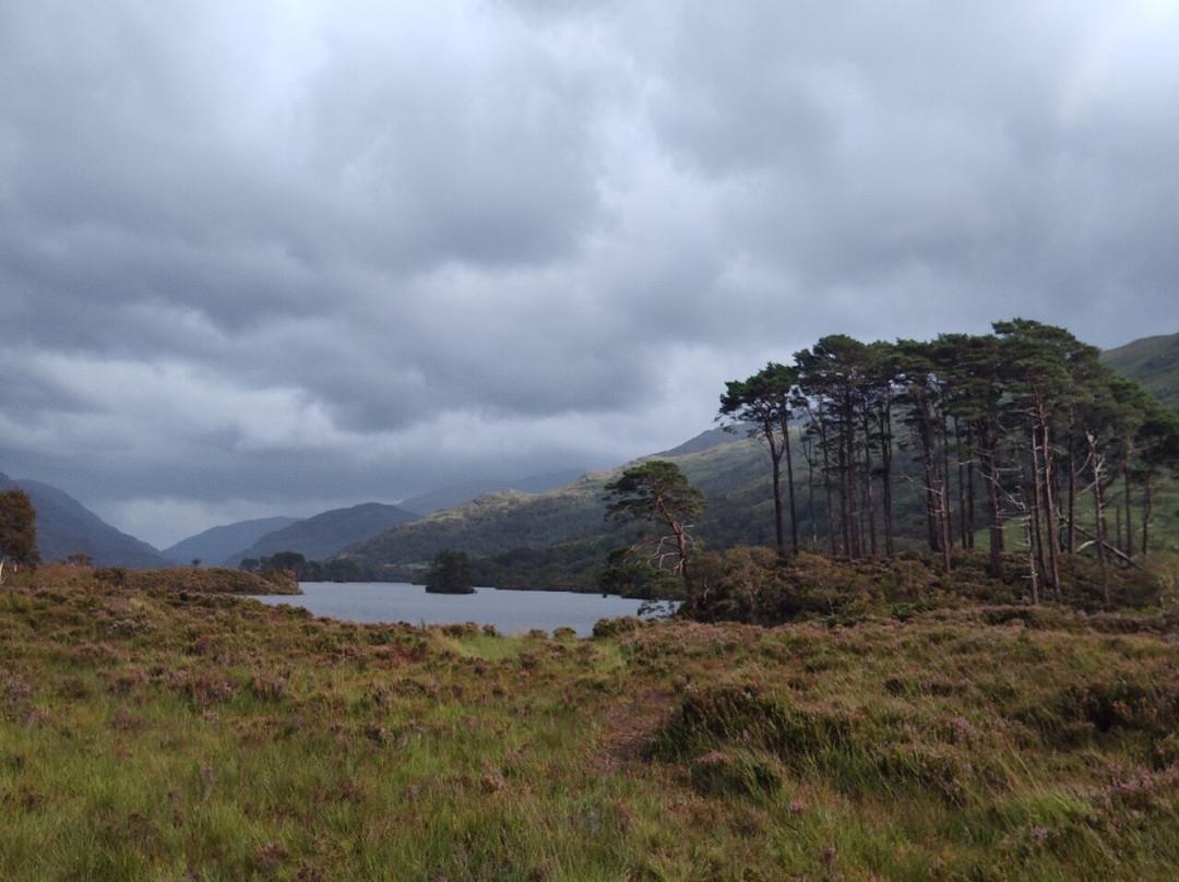 Eilean Na Moine. Dumbledore's Grave