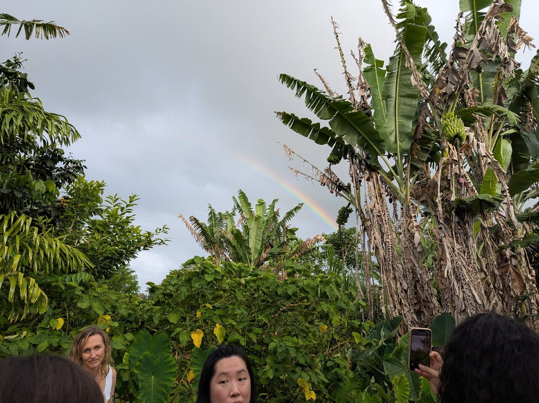 Common Ground Kauai-基拉韦厄必去景点