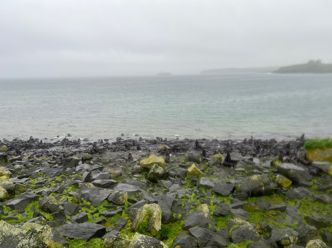 Alaska Maritime National Wildlife Refuge-Saint Paul Island必去景点