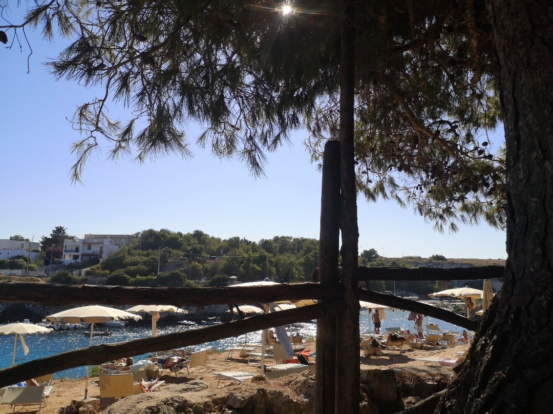 Azienda Agricola Grotta dei Cervi-Porto Badisco必去景点