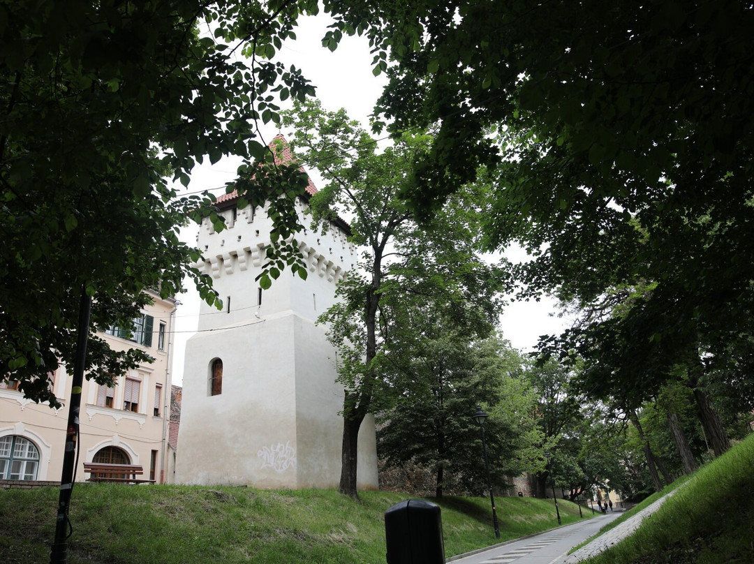 Citadel Park of Sibiu-锡比乌必去景点