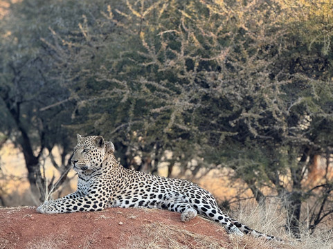 Bushtrails Tours and Safaris-温德和克必去景点