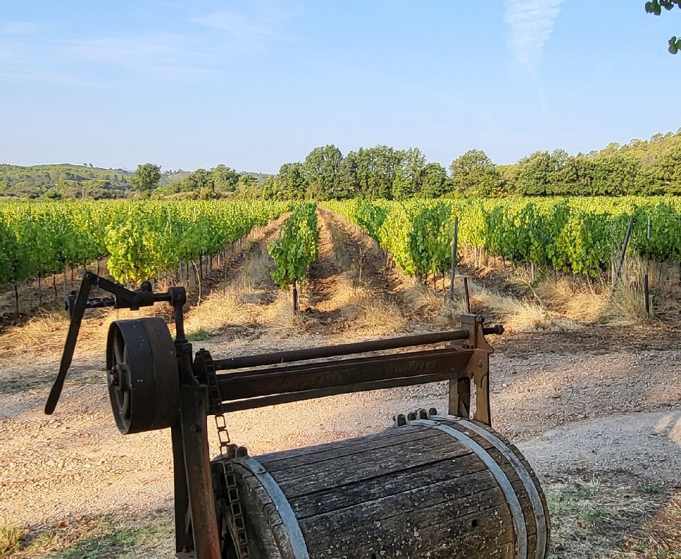 Chateau Nestuby主图