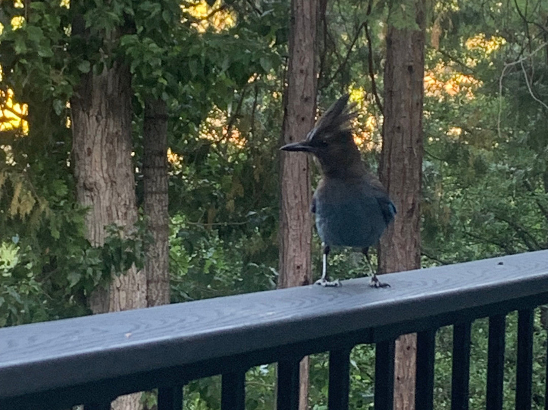 优胜美地大溪住宿加早餐旅馆主图