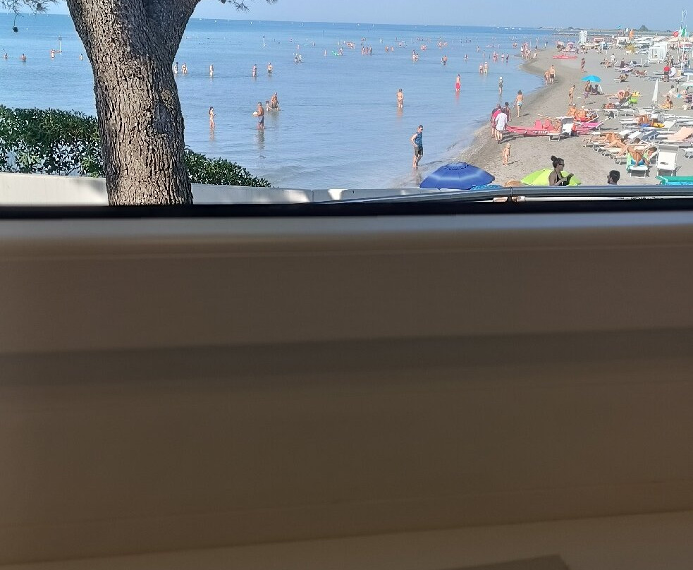 Biblioteca Civica "Falco Marin"-格拉多必去景点