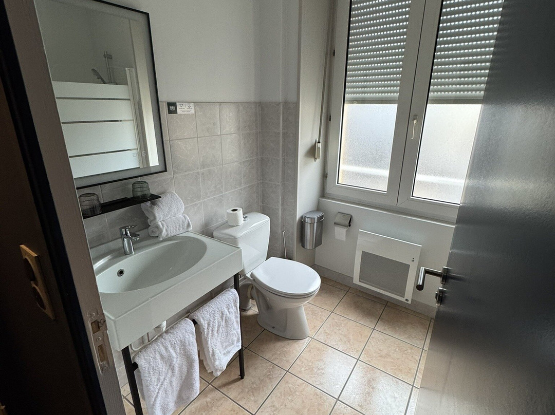 Logis Hôtel du Cygne主图