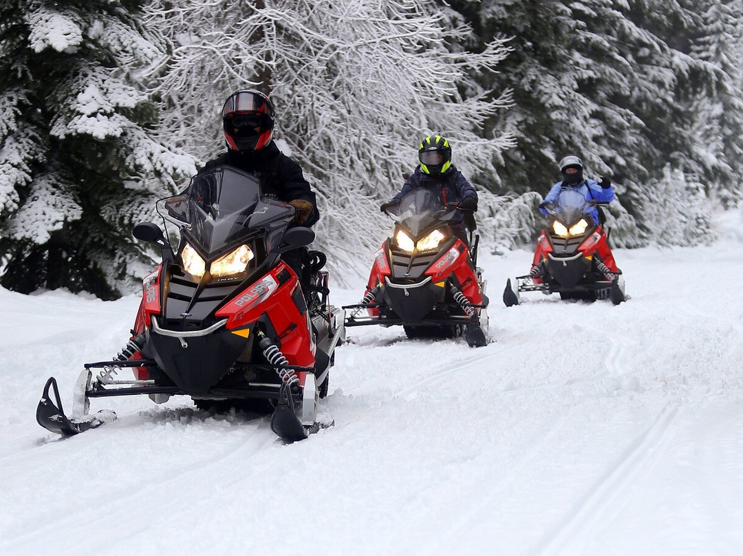 Mt Hood Outfitters-Government Camp必去景点