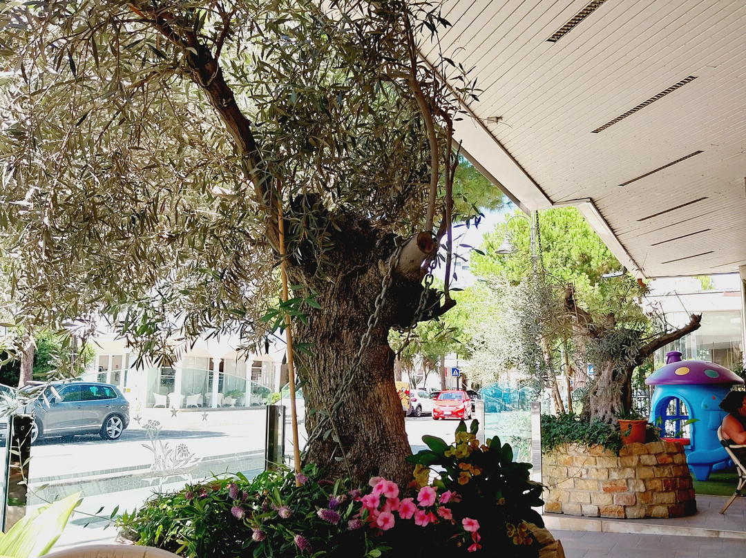 Miomar Beach Hotel主图