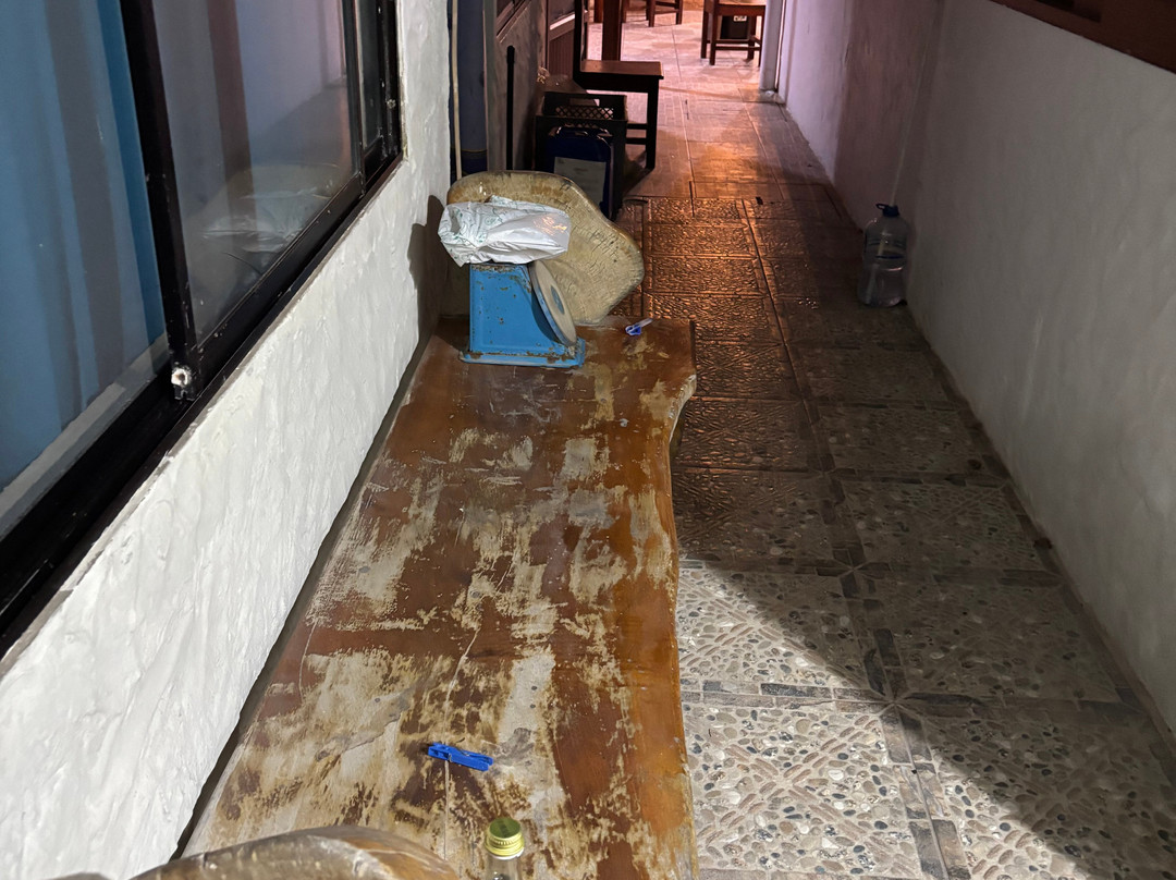 La Gran Tortuga主图