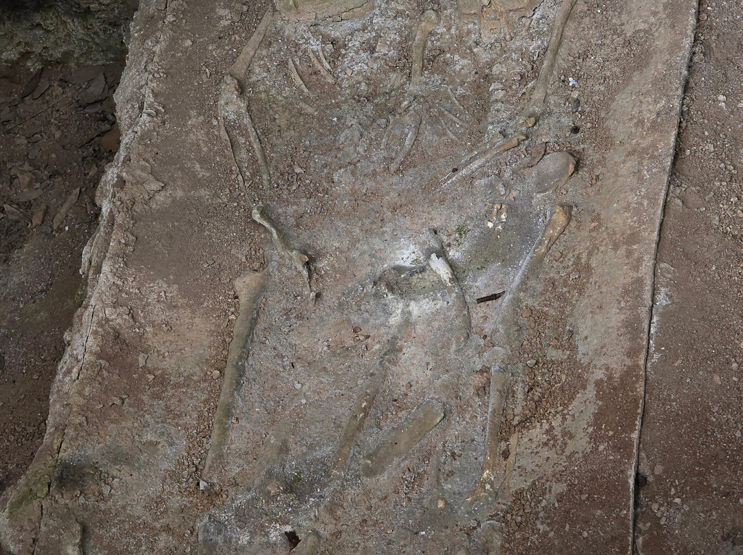 Grotta del Romito-Papasidero必去景点