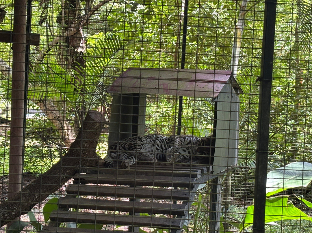 APAMI Wild Life-Portegolpe必去景点