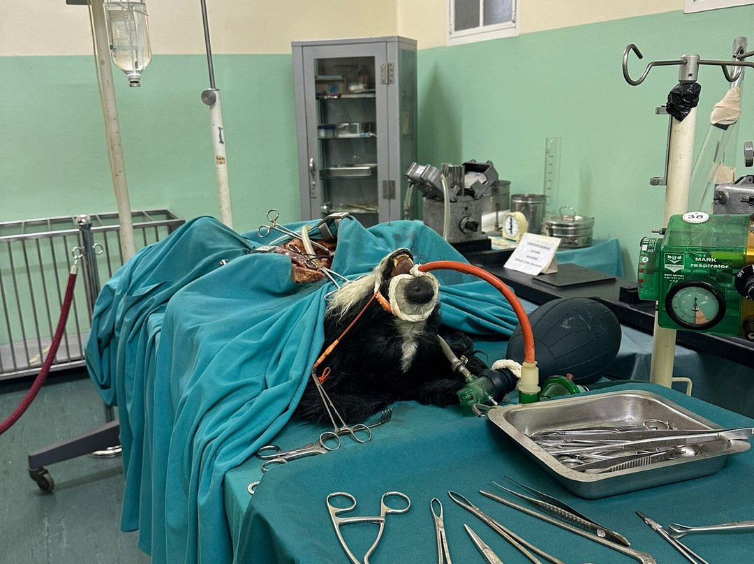 开普敦之心博物馆-开普敦中心区必去景点