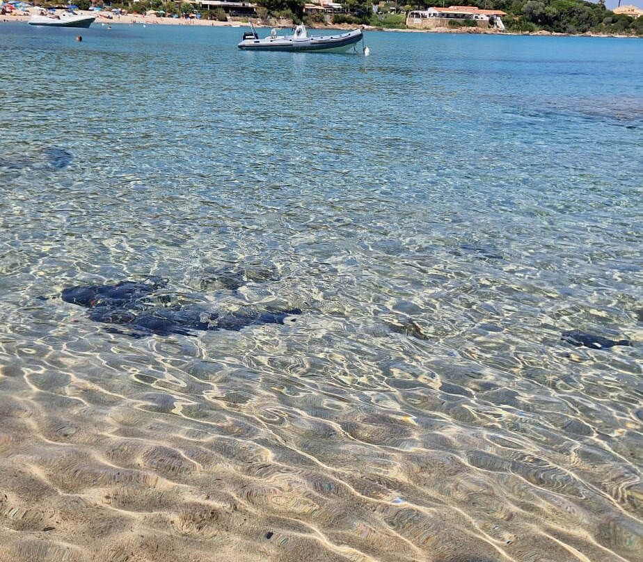 Plage De Tarco-维琪奥港必去景点