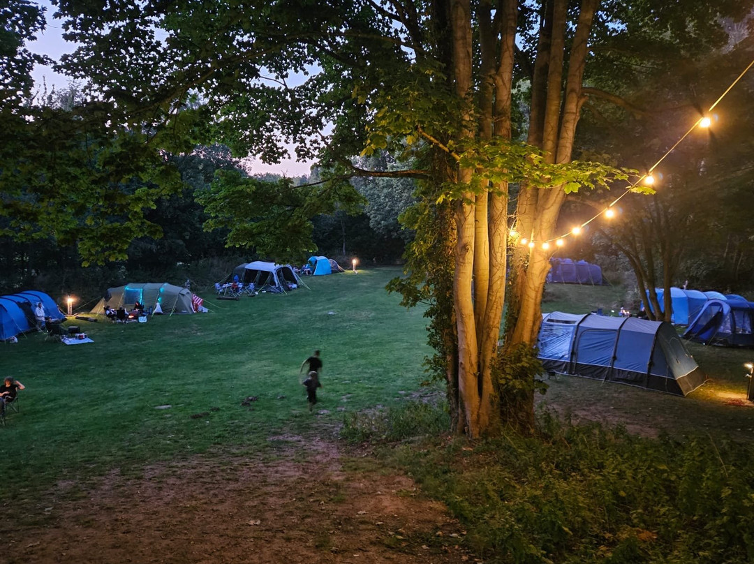 Roundwood Dell Campsite
