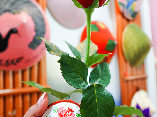 INCENSE VILLAGE HANOI TOUR-河内必去景点