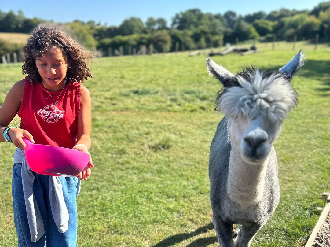 Fisherwood farm-Robertsbridge必去景点