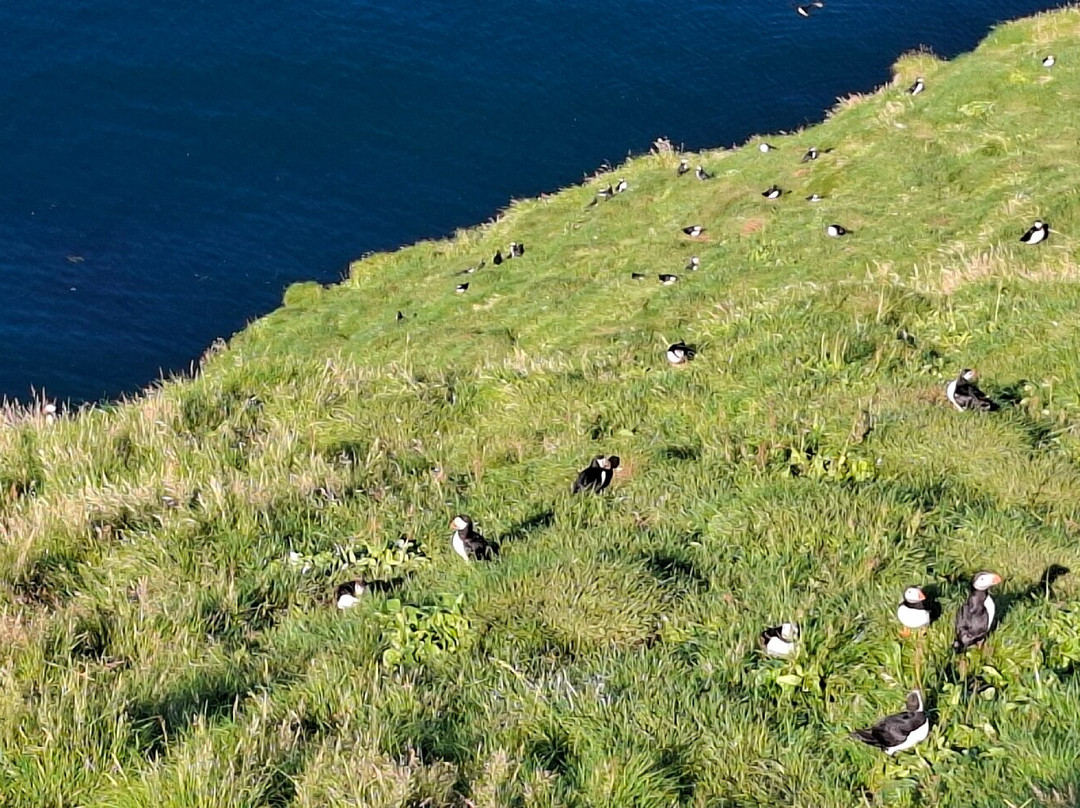 Hop On Hop Off Vestmannaeyjar-韦斯特曼纳群岛必去景点