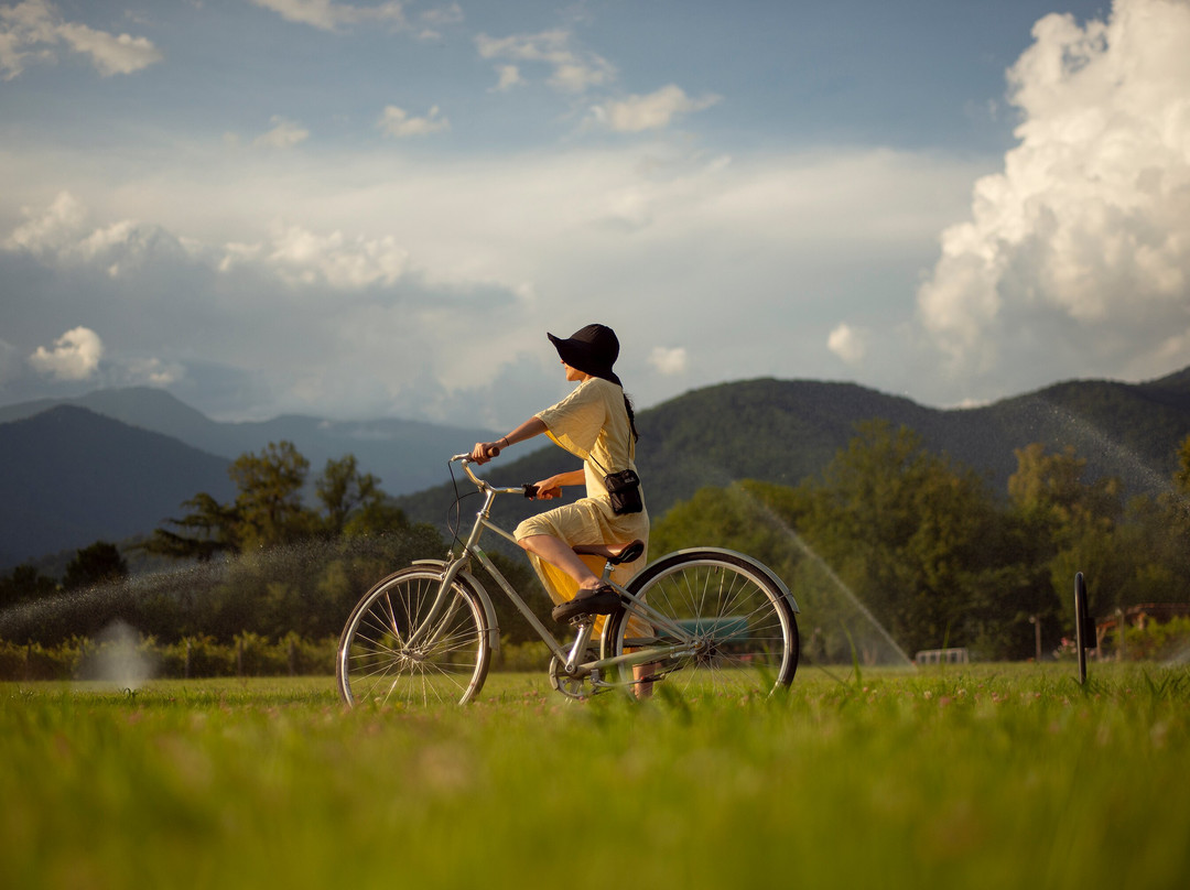 Lopota Lake Resort & Spa主图