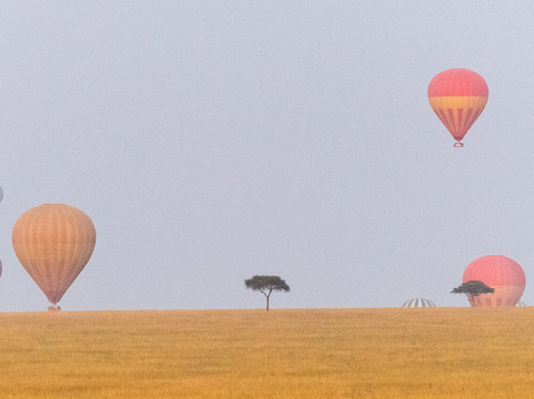 Africa Safari Classics-内罗毕必去景点