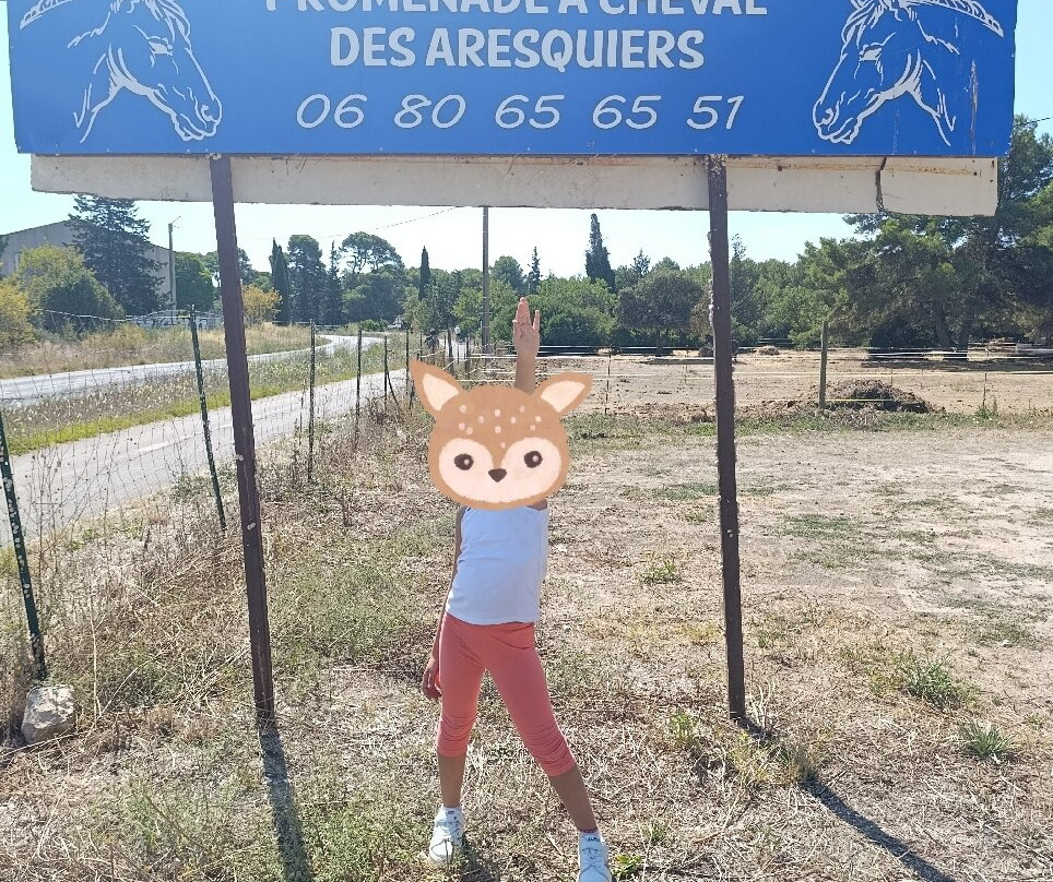 Promenade A Cheval Des Aresquiers-Vic-la-Gardiole必去景点