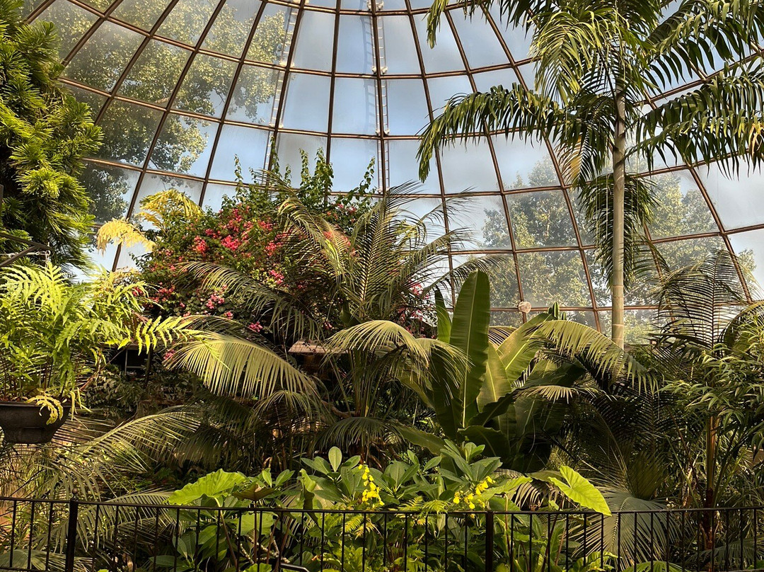 爬虫公园-拉皮德城必去景点