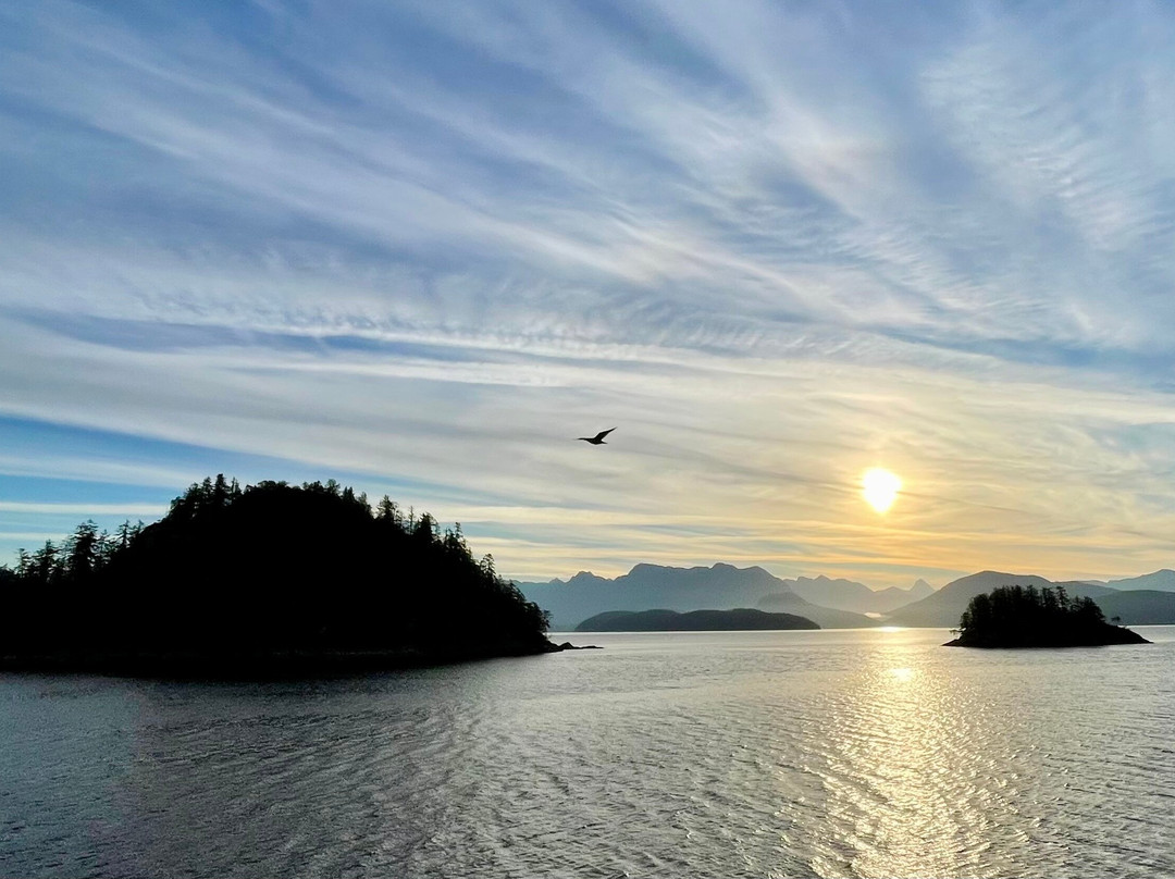 Powell River Sea Kayak-鲍威尔里弗必去景点