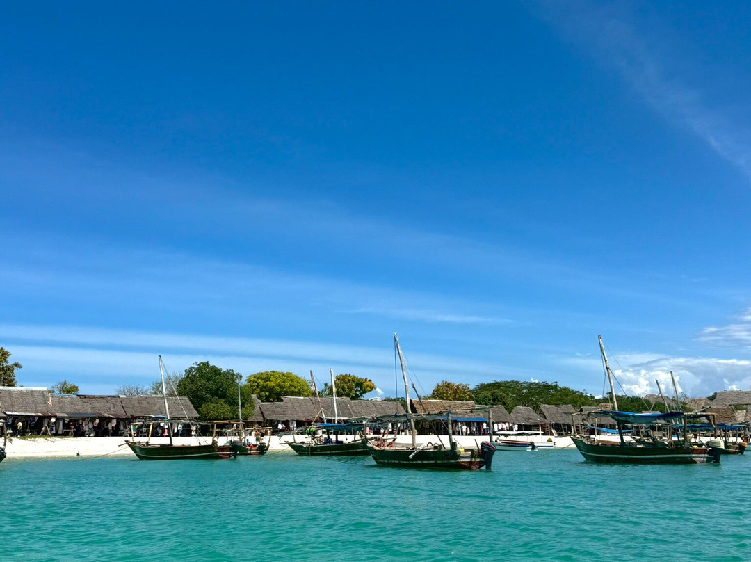 Suley Taxi Driver Zanzibar and Tours-孥归必去景点