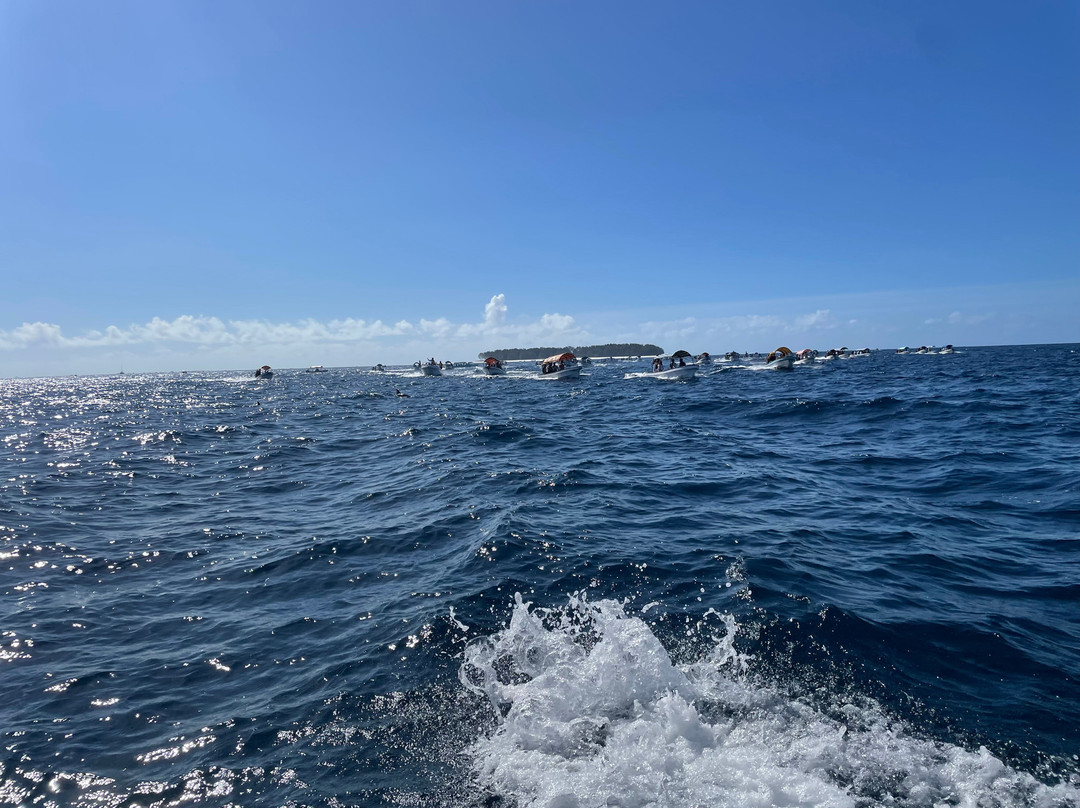 Dive Point Zanzibar-Matemwe必去景点