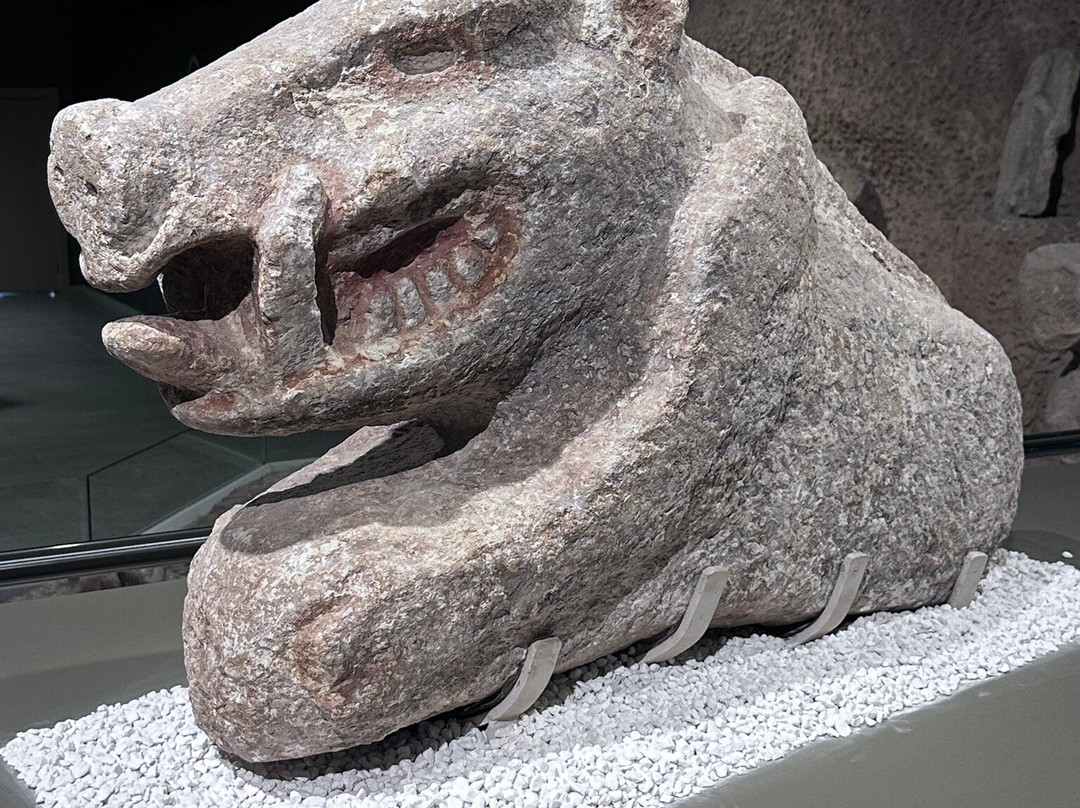 Sanliurfa Archeology and Mosaic Museum-Sanliurfa必去景点