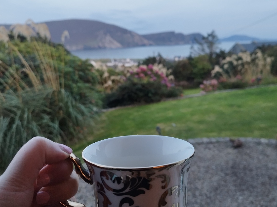 Ferndale Luxury Bed and Breakfast主图