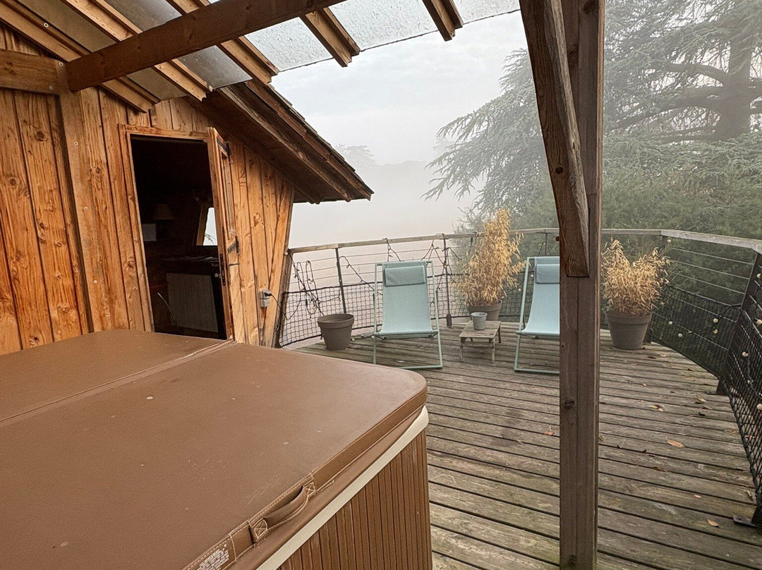 Domaine des Grands Cedres主图