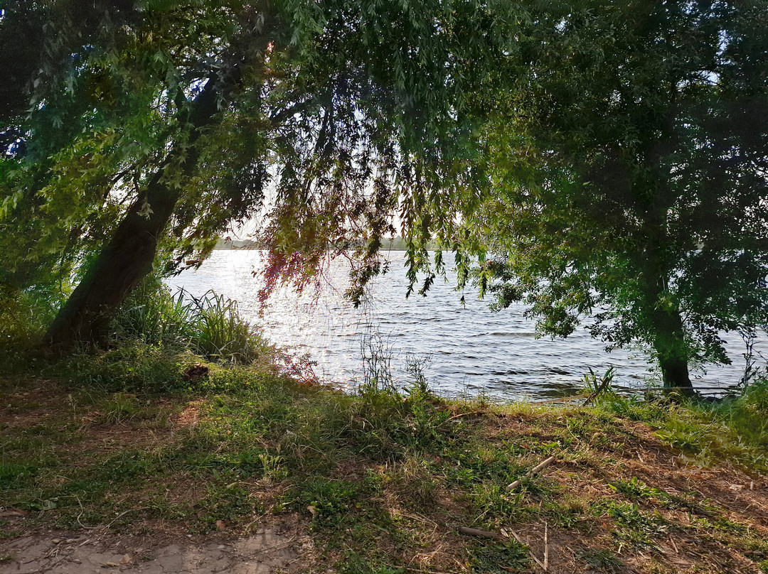 Bico Da Govia-Salvaterra de Magos必去景点