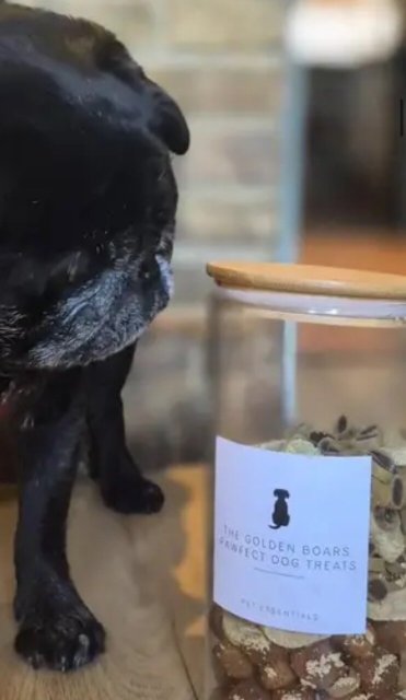 The Golden Boar-家庭/游戏区