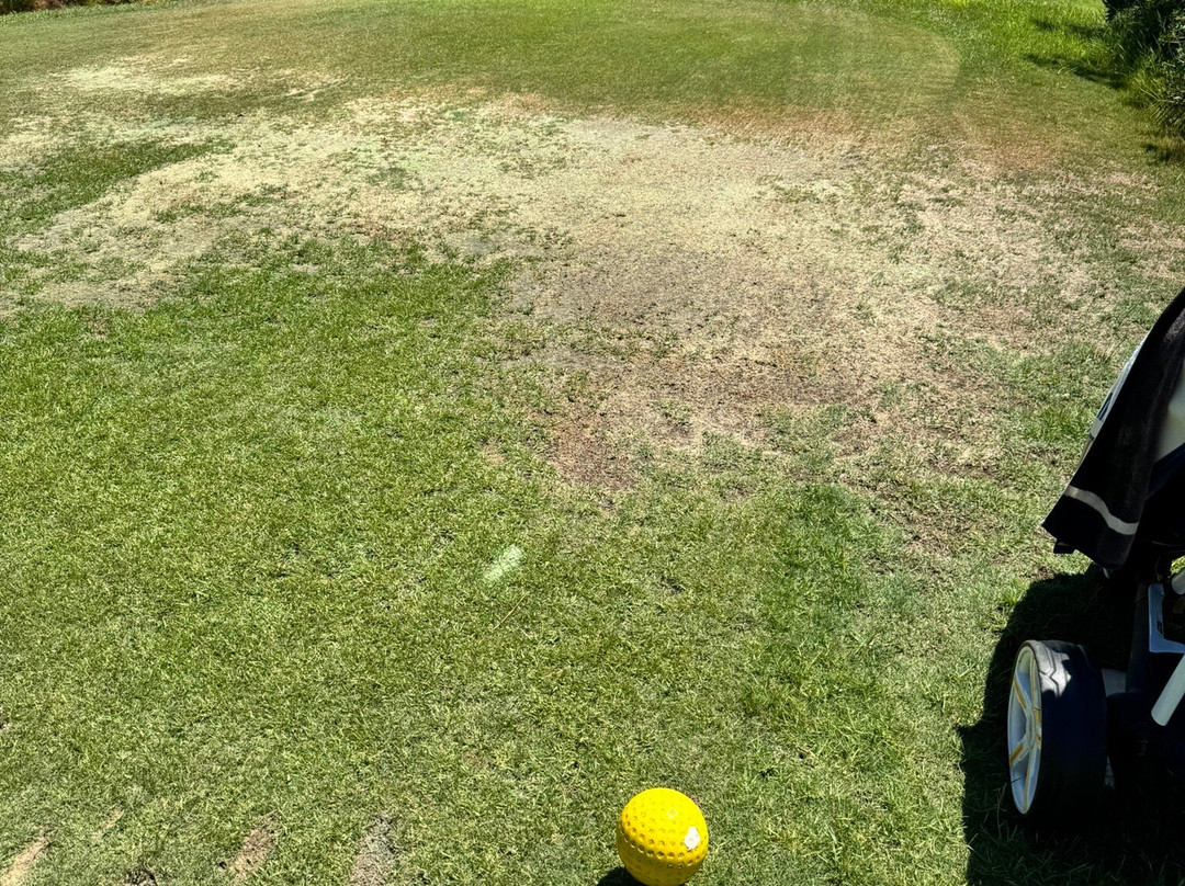 San Lorenzo Golf Course-Quinta do Lago必去景点