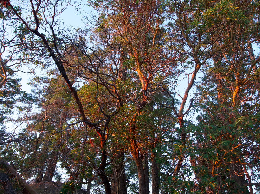 qathet Visitor Centre-鲍威尔里弗必去景点