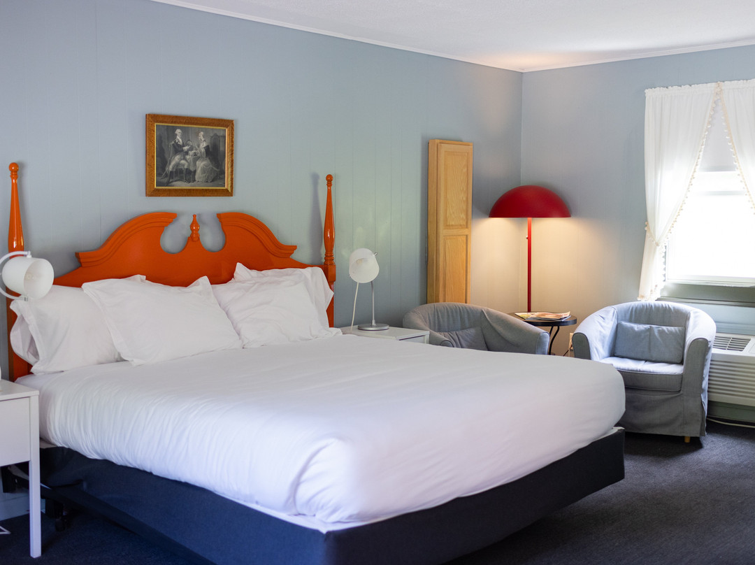 The Little Lion主图