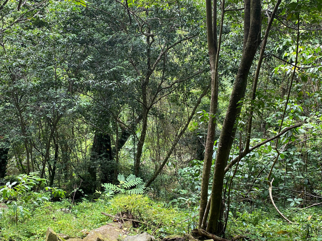 Quill National Park-圣尤斯泰希厄斯岛必去景点