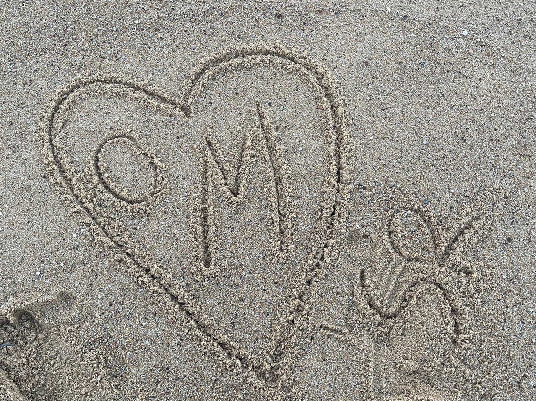 Rubik's Tours (pvt) Ltd-科伦坡必去景点