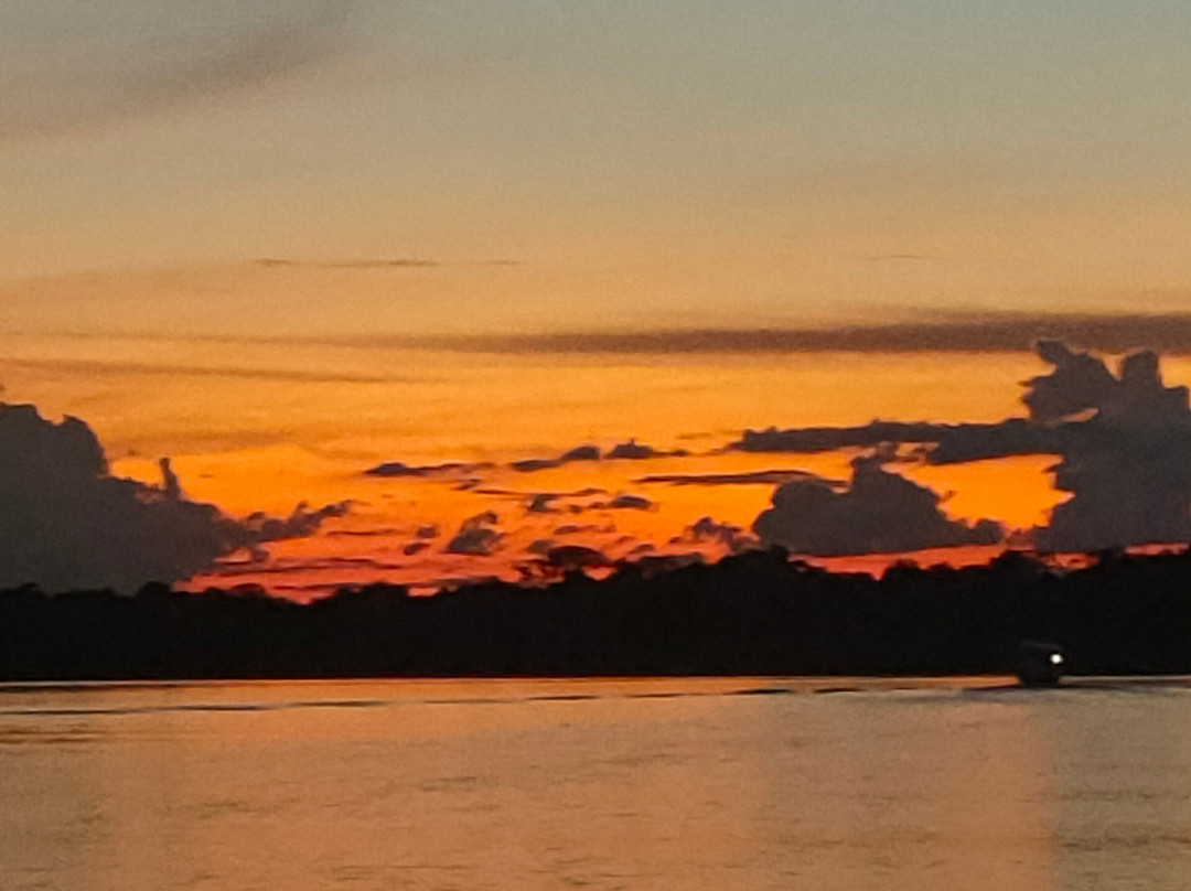 Amazon Jungle Johnny Tours-Puerto Narino必去景点