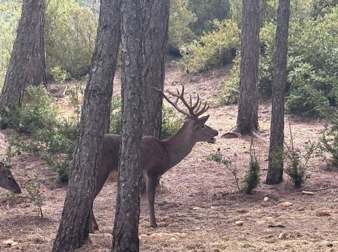Parque del Hosquillo-拉斯马哈达斯必去景点