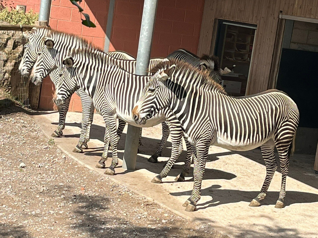 Marwell Activity Centre-Owslebury必去景点