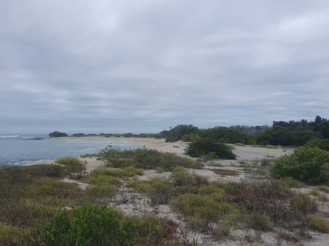 Playa El Manglecito-圣克里斯托瓦尔必去景点