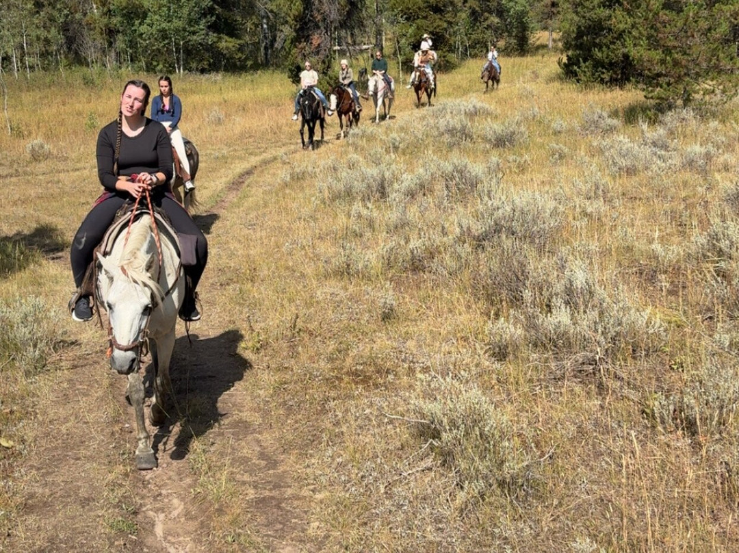 Yellowstone Horses - Eagle Ridge Ranch-艾兰帕克必去景点
