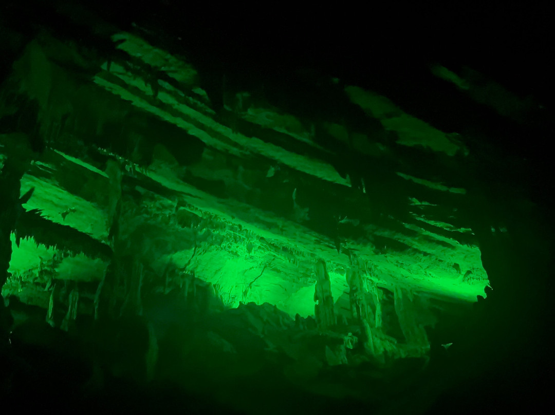 Penn's Cave & Wildlife Park-中心大厅必去景点