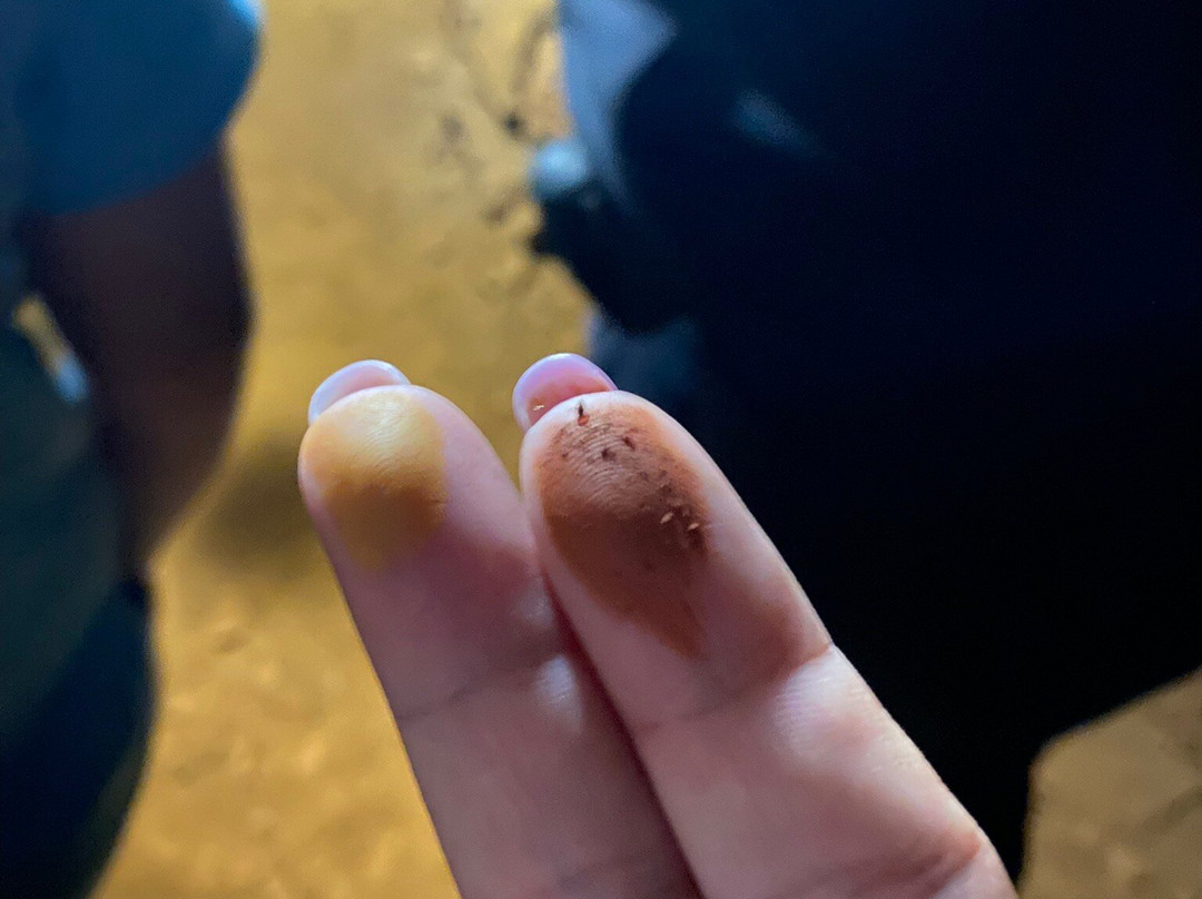 Parc Miner del Maestrat-Culla必去景点