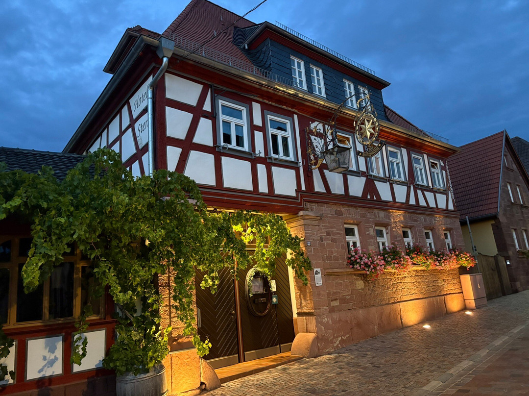 Weinhaus Stern Hotel主图