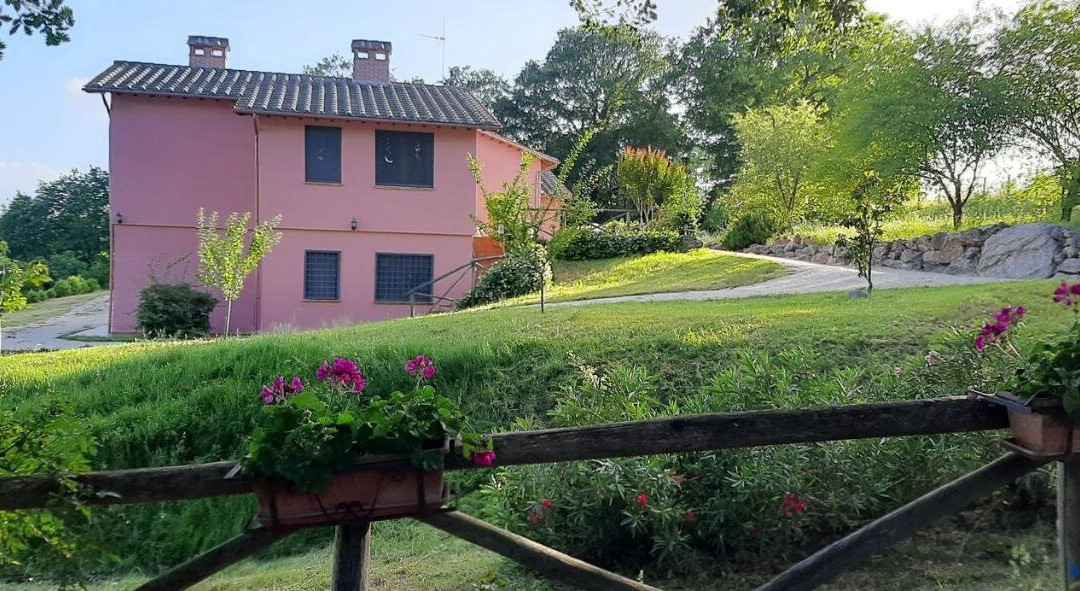 L' Albero degli Struzzi